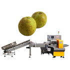 Formazione del Kiwi Fruit Vegetable Packing Machine fresco di riempimento